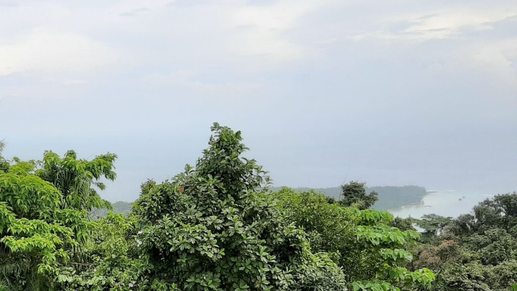 Mount Harriet National Park A Complete Travel Guide WildlifeZones