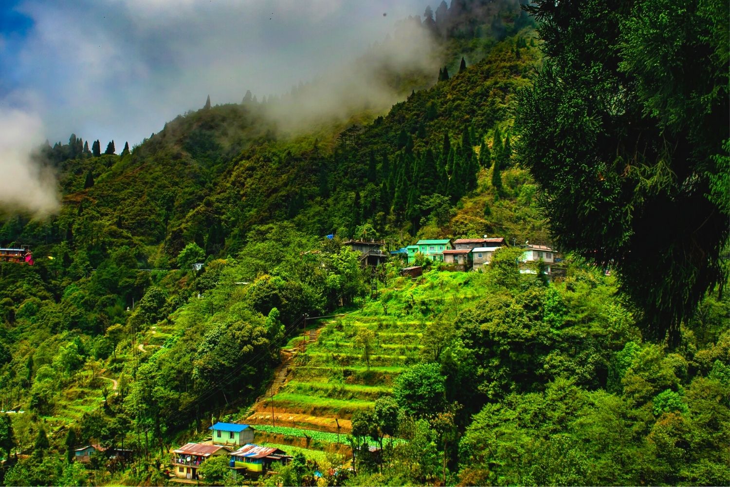 best tourist places darjeeling