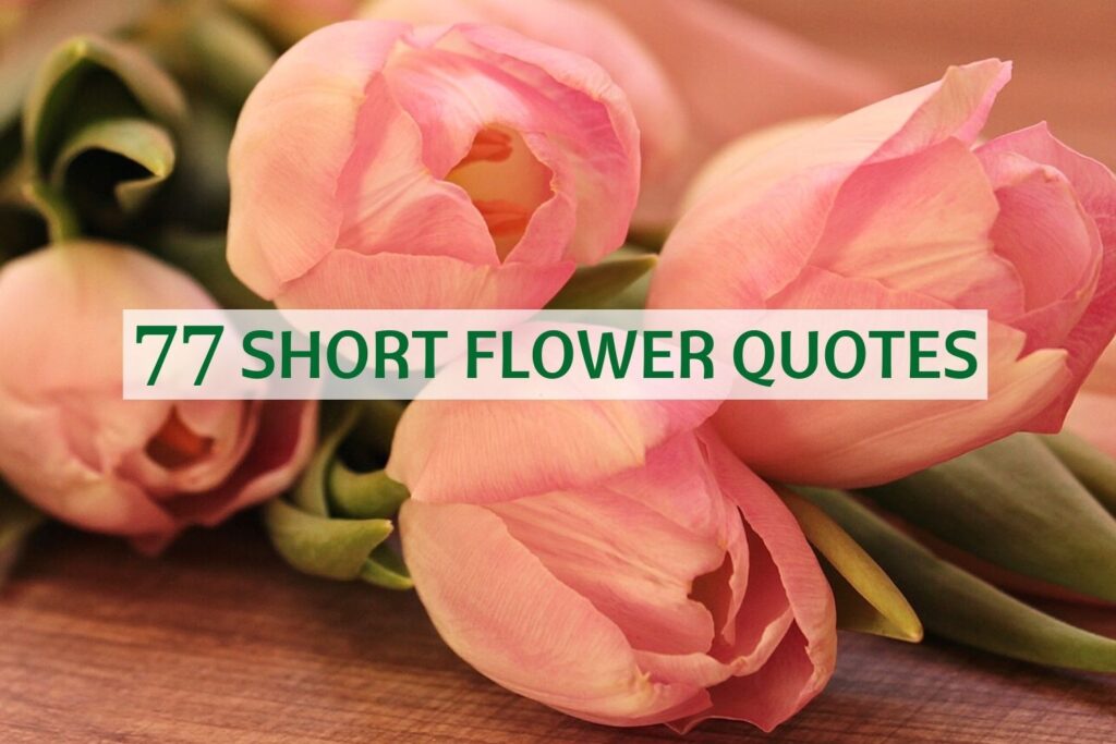 77 Short Flower Quotes You Will Surely Love