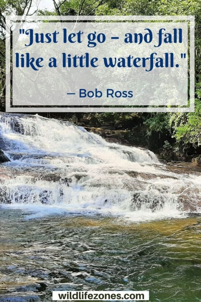91 Most Beautiful And Inspirational Waterfall Quotes WildlifeZones