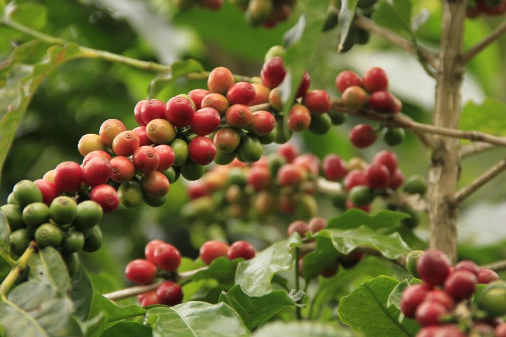 6 Amazing Places To Visit in in 1 Day WildlifeZones