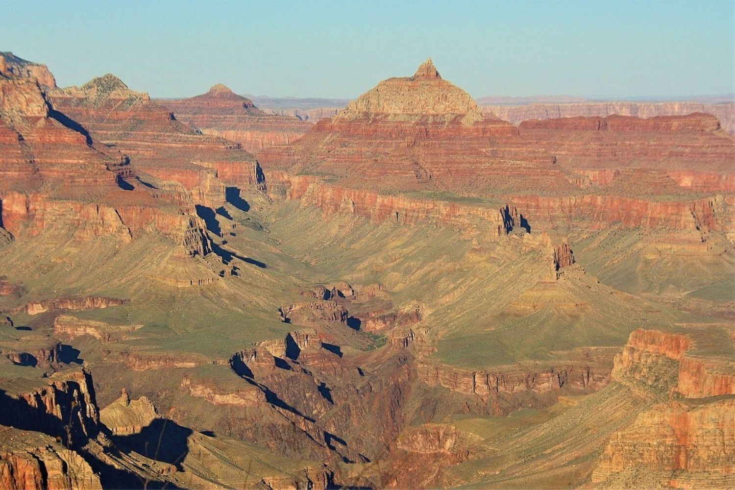 10 of The Best Attractions in The Grand Canyon WildlifeZones