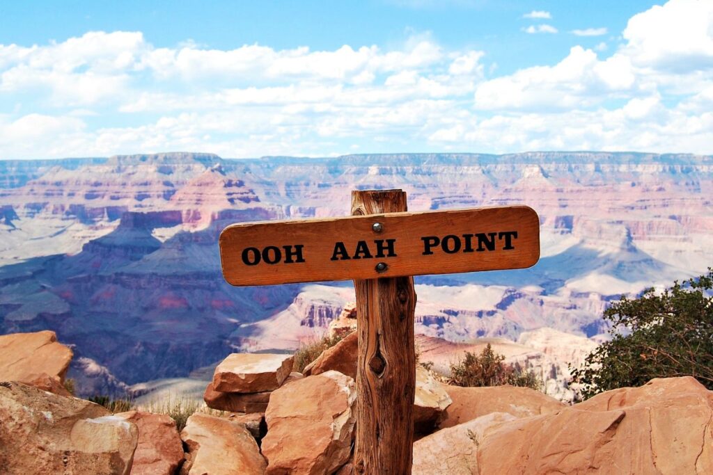 10 of The Best Attractions in The Grand Canyon WildlifeZones